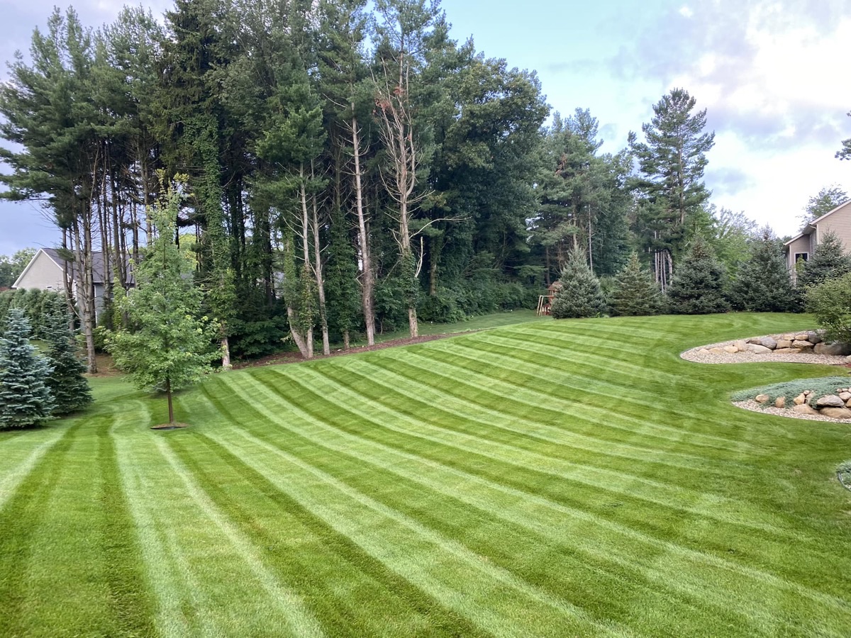 Professional lawn mowing equipment